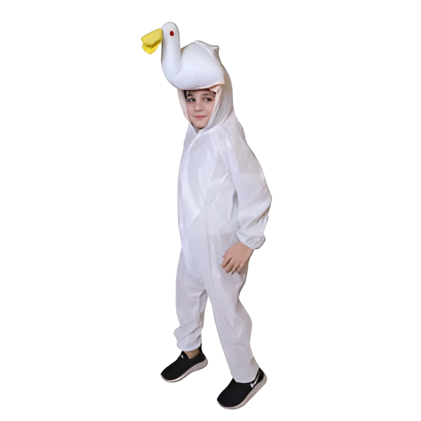 Swan
