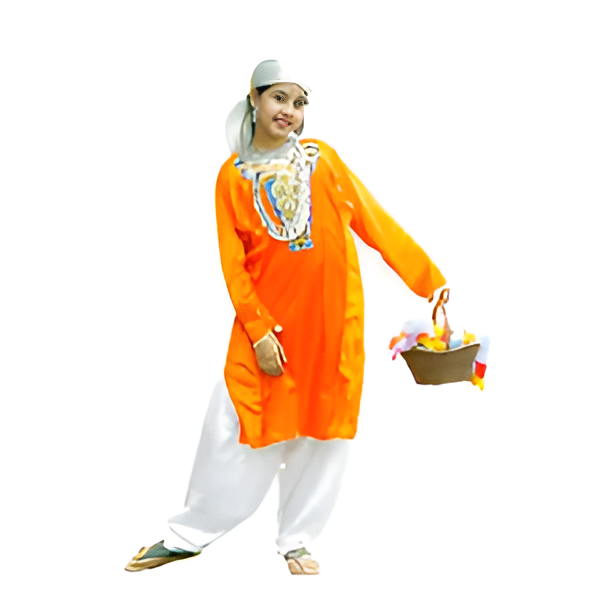 kasmiri dress girls
